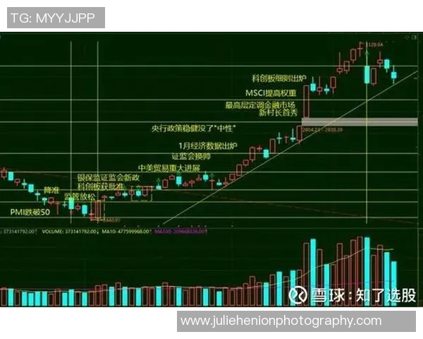 南京羽毛球队与武汉羽毛球队赛后复盘分析比赛节奏与战术对决
